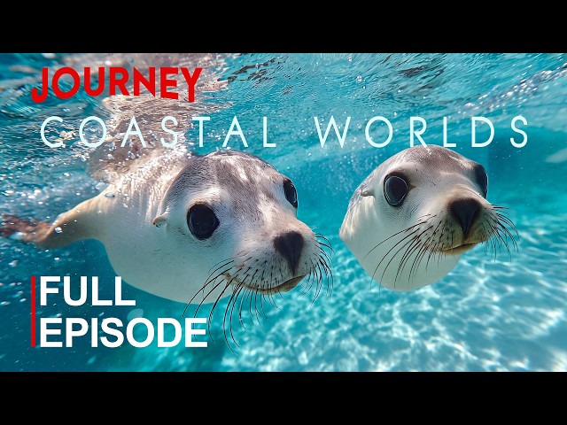 ONE COAST, MANY WORLDS | FROM SHORELINE TO OPEN BLUE | FULL DOCUMENTARY