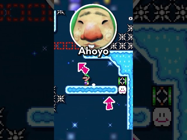 How Mario Makers Hardest Level CHEATED...
