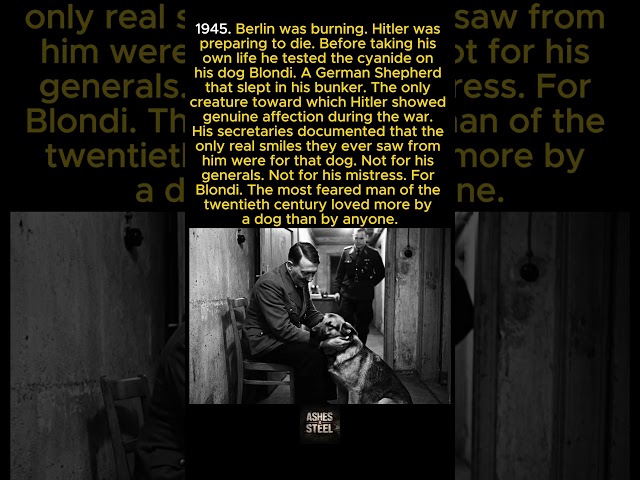 Hitler loved his dog more than anyone in his inner circle