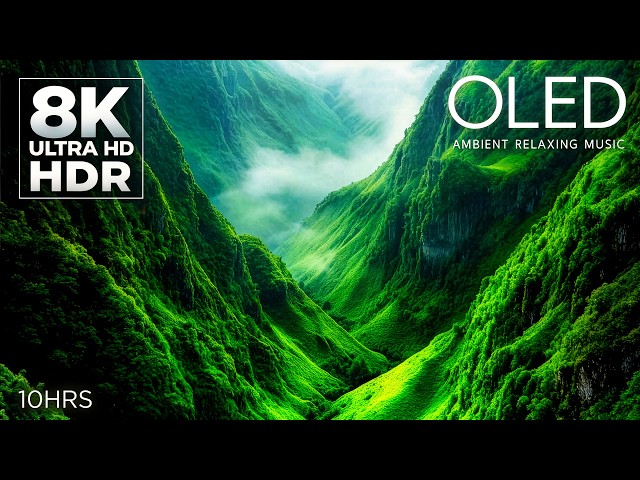 10 HOURS of Mesmerizing Visuals + Music | 16K HDR 120fps (8K HDR 60fps)