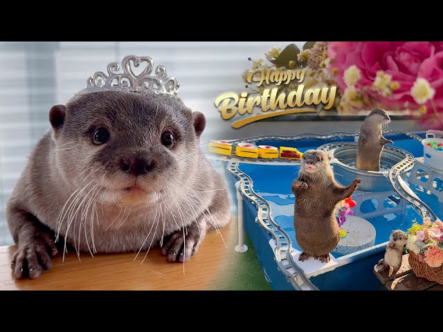 Otter Loves Her Birthday Sushi Train Pool Party!
