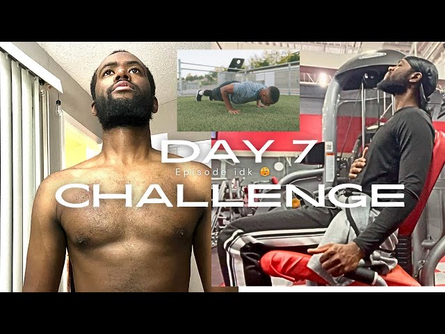 Day 7 Update (push-ups, legs, abs?)