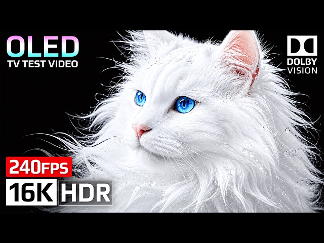 Ultimate OLED Display Test | 16K HDR Dolby Vision 120FPS | 4K Video • 8K Video ULTRA HD TV