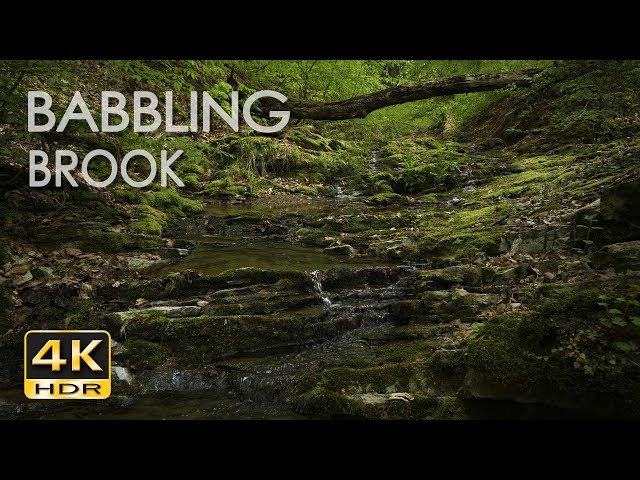 Babbling Brook - Trickling Forest Creek - Water Sounds - Relaxing Nature Video - 4K HDR