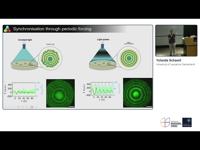 Engineering synthetic spatial patterns in bacterial populations and communities