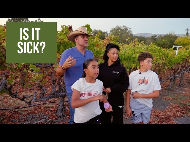 The Housley Farm: Our Vineyard Might Be Sick! | Episode 12