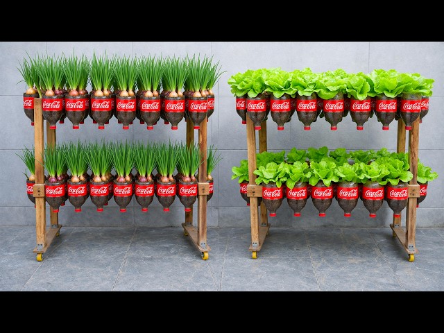 DIY Vertical Garden from Plastic Bottles - Grow Lettuce, Green onions at Home Easily
