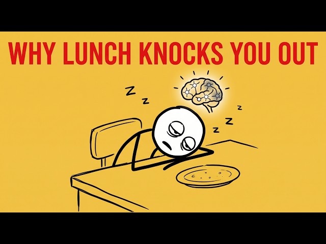 Why You Get So Sleepy After Eating! Humans Explained