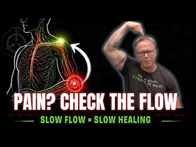 Blood Flow