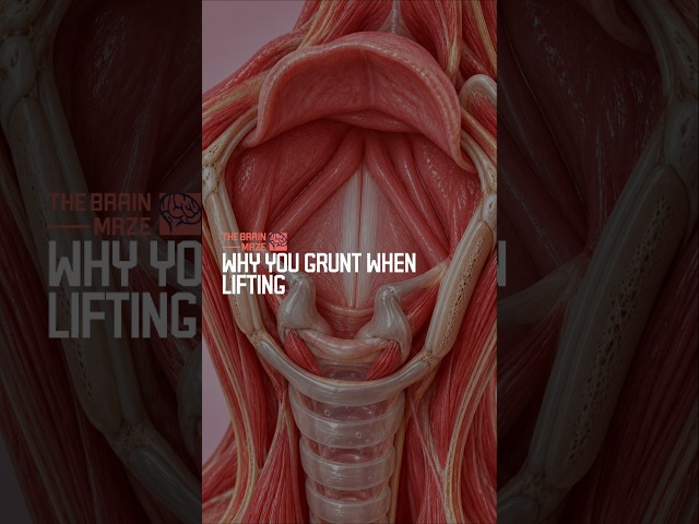 Why You Grunt When Lifting