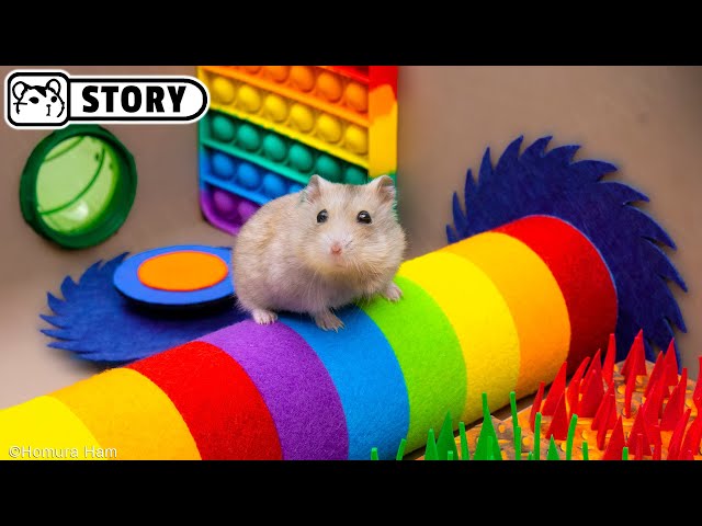 The Best Hamster Challenges 2 - Hamster Escapes from the Most Amazing Mazes 🐹 Homura Ham