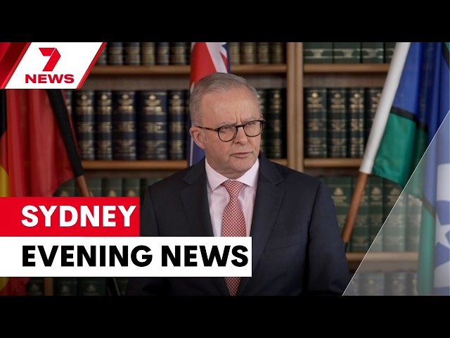 Petrol giants on notice for ripping off Aussies; Teen arrested over BB gun shooting | 7NEWS Sydney