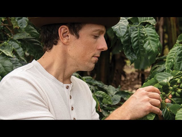 Behind the Scenes: An Interview With Jason Mraz