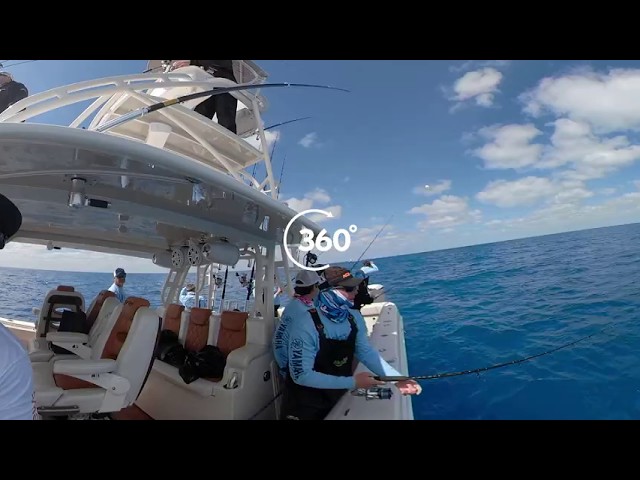 Sailfishing In Florida - Ouuchhhh!!!