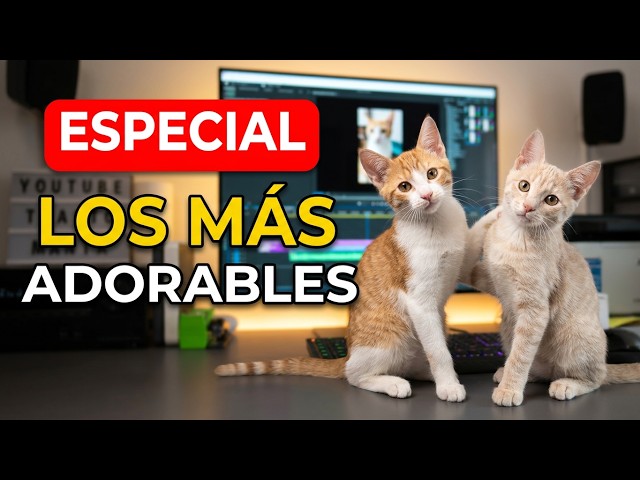I didn't expect to do the most adorable UNBOXING in the world