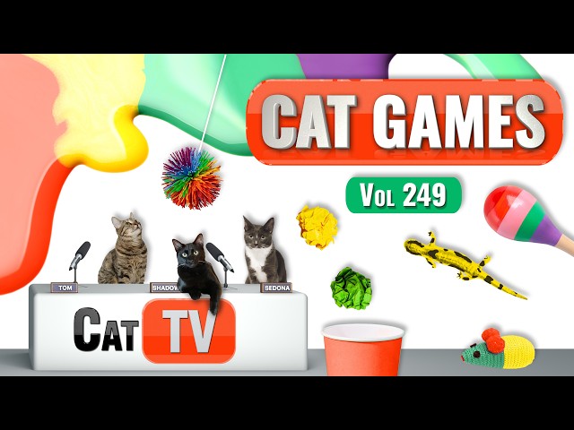 Игры для кошек | Лучшая подборка Cat TV, выпуск 249 | 8 ЧАСОВ 🐝🐞🦋🦎🦜🐜🐭🧵
