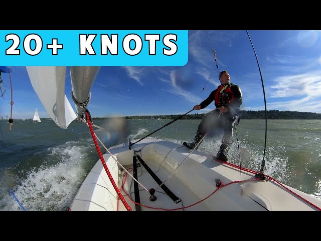 UPWIND SAILING I Sailing Shorts