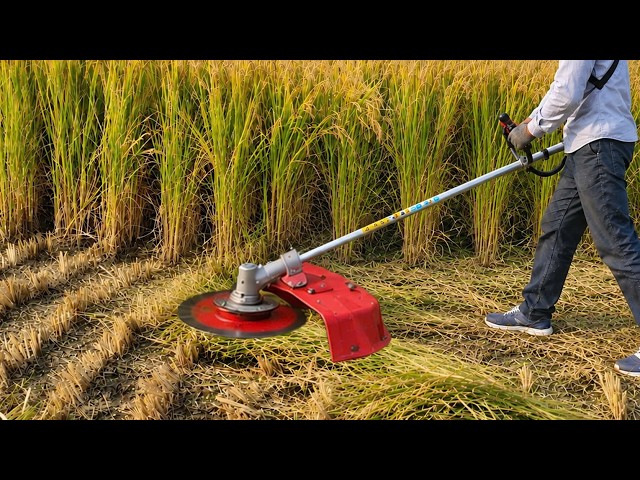 Crazy idea from a welder! Turning a lawnmower into a million-dollar tool.