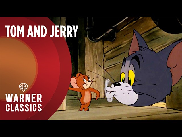 Tom and Jerry | Mega Compilation | Vol. 41 | Warner Classics