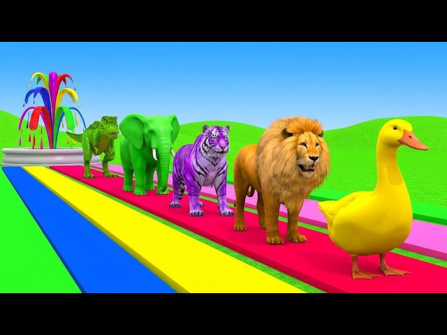 5 Giant Duck Cartoon,Cow,Elephant,Tiger,Lion,Dinosaur,Paint Wild Animals Crossing Fountain Animation