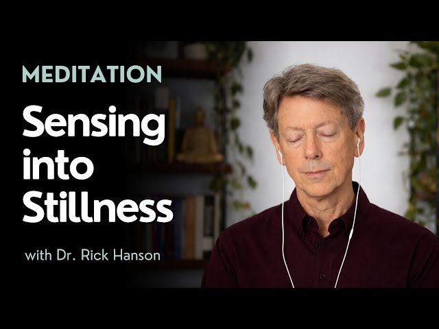 A Meditation on Sensing into Stillness, with Dr. Rick Hanson