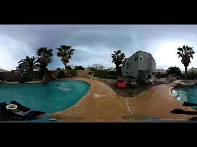 Dog Day @ the Pool