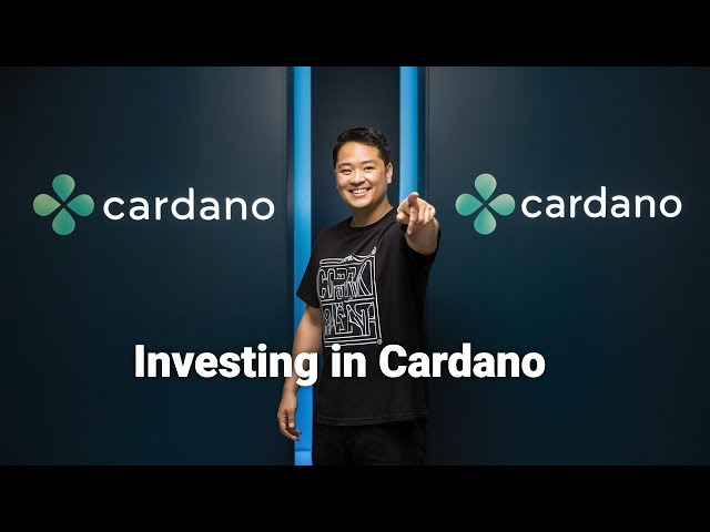 Why Cardano is Set to Explode: The Future of Crypto You Can’t Afford to Miss! | Insights2Income