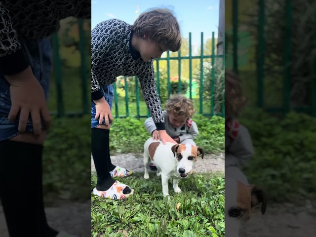 Meet Jack Rassel