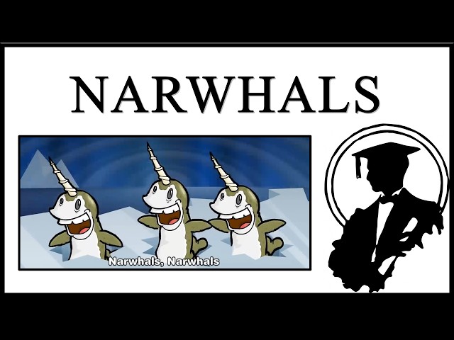 Narwhals Song Is Frying Me Bro