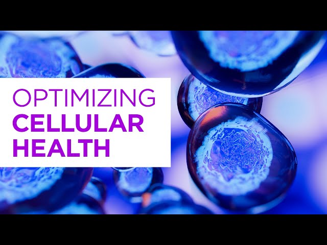 Cellular Health Explained: Optimize Cell Health To Thrive