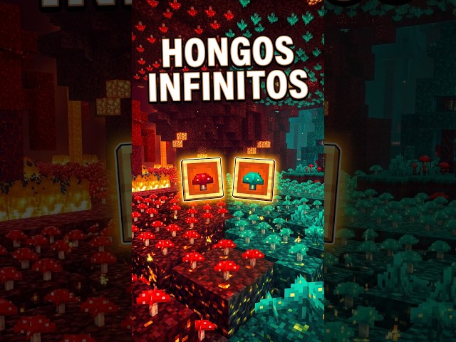 Infinite Nether Fungi | #Minecraft #shorts #rhogameryt