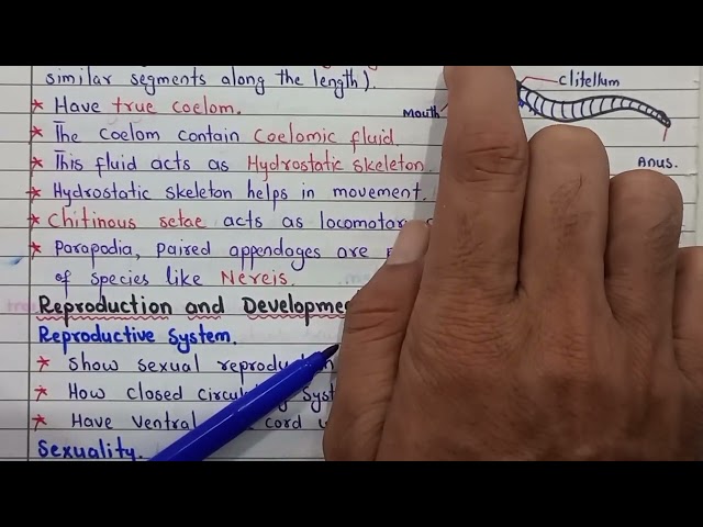 Phylum Annelida Complete Lecture | Class 11 Biology 2026 | FBISE Board | Yousuf Biology Academy