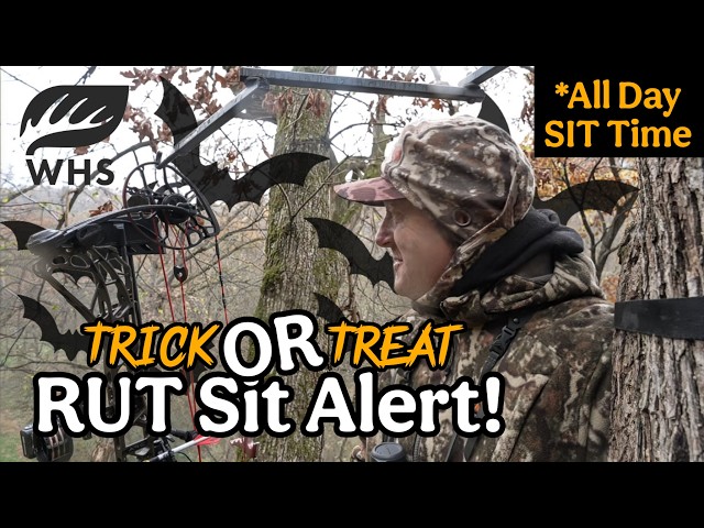 Sit Alert | Halloween Cold Front Coming! 