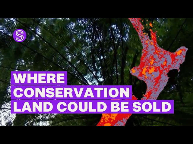 Maps shows where conservation land could be sold off after govt reforms | Stuff.co.nz