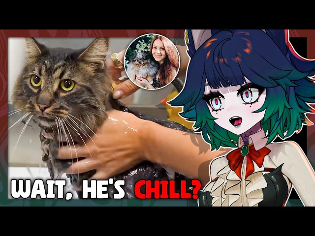 Veternarian Assistant SHOCKED By This 😱 | VTuber Reacts to Girl with the Dogs