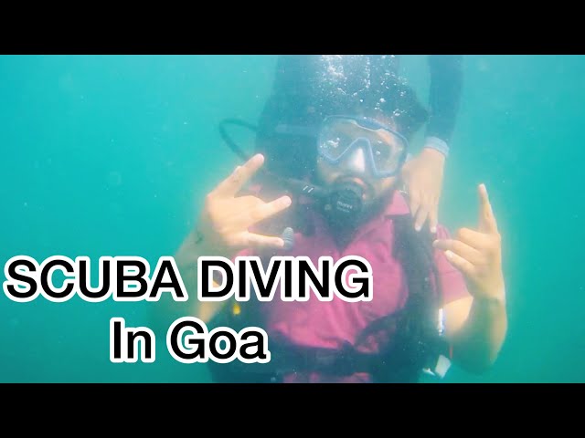Scuba Diving in Goa -2022 || Explored underwater life
