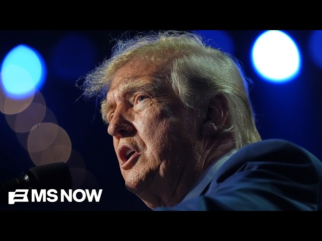 Americans are ‘all out of give a damns’ with this Trump presidency: Dem strategist