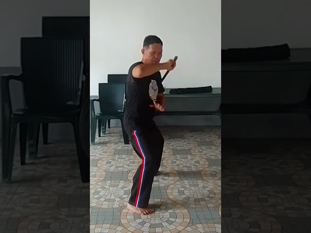 Combo                                #martialarts #tutorial #short