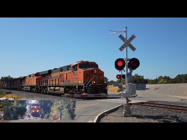BNSF 6901 Manifest North | Sacramento Northern Bike Trail Pedestrian Railroad Crossing Sacramento CA