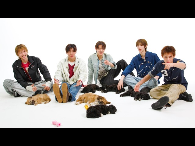 CORTIS: The Puppy Interview