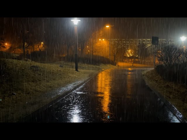 Overcoming insomnia within 5 minutes with heavy rain in the park,rain sound ASMR lullaby white noise