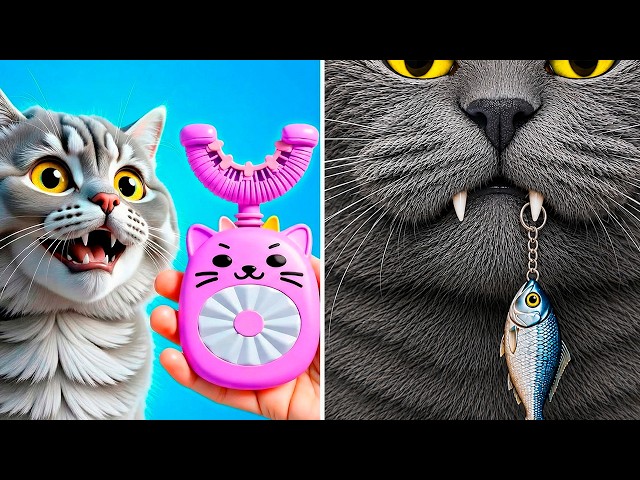 Wild Cat Experiments With Viral Hacks, Pet Gadgets and DIY Crafts