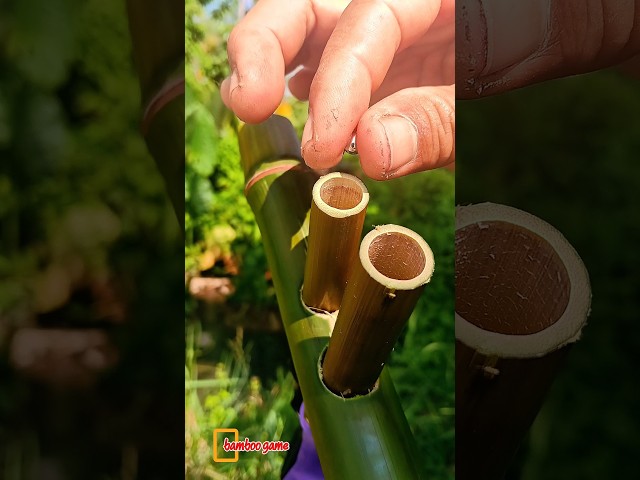 bamboo game