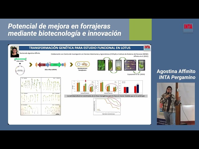 XXIV RAF | Potential for improvement in forage crops through biotechnology | Affinito - Roldán - ...