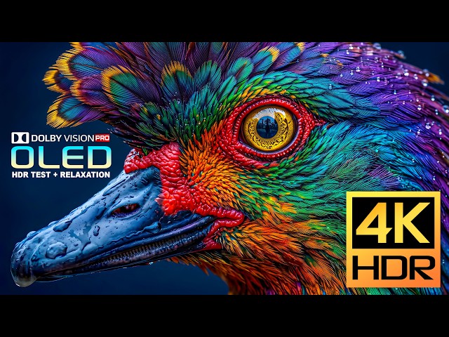 World's First Unseen 4K Video | Dolby Vision HDR OLED TEST | Smooth 60FPS Video