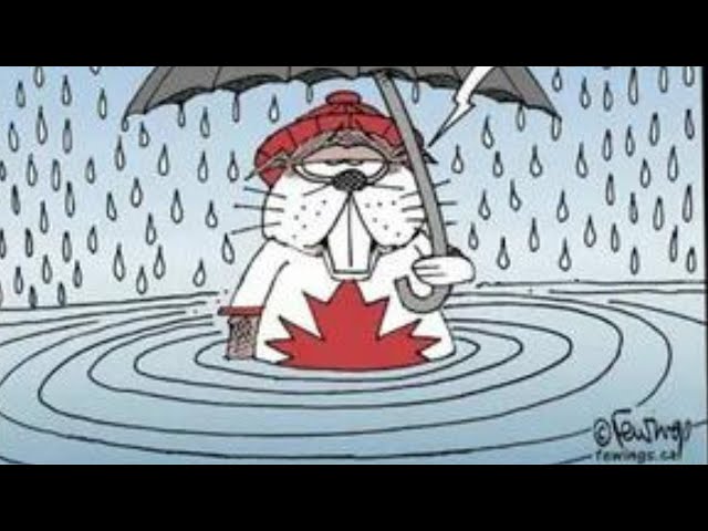 Heavy Thunderstorm & Rain  Night Rainstorm & Very Strong Thunder on Metal Roof  Sleep Fast, Relax