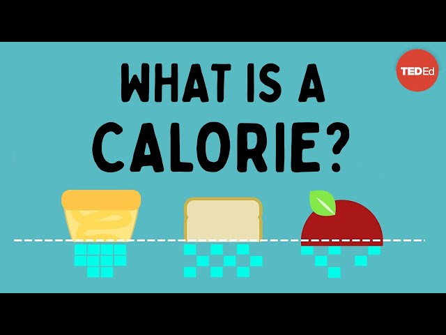What is a calorie? - Emma Bryce