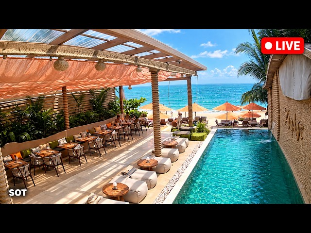 Zephyr Beach Club 🔴 Lamai Beach, Koh Samui, Thailand | Live Webcam