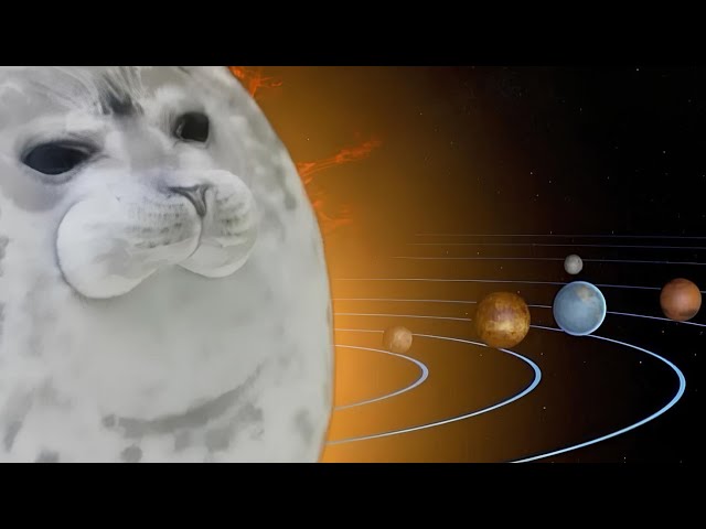cute track for seal day
