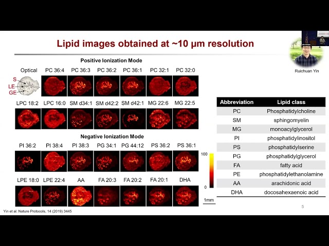 Advances in High-Resolution Ambient Mass Spectrometry Imaging | Julia Laskin | SCP25